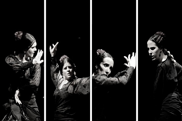 El Premio Provincial de Danza ya tiene sus primeros ganadores y ganadoras