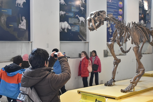 Actividades por las vacaciones de invierno en el Museo de Ciencias Naturales Antonio Serrano