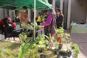 Este sábado se realizará una nueva edición de Casa Feria en la Casa de la Cultura